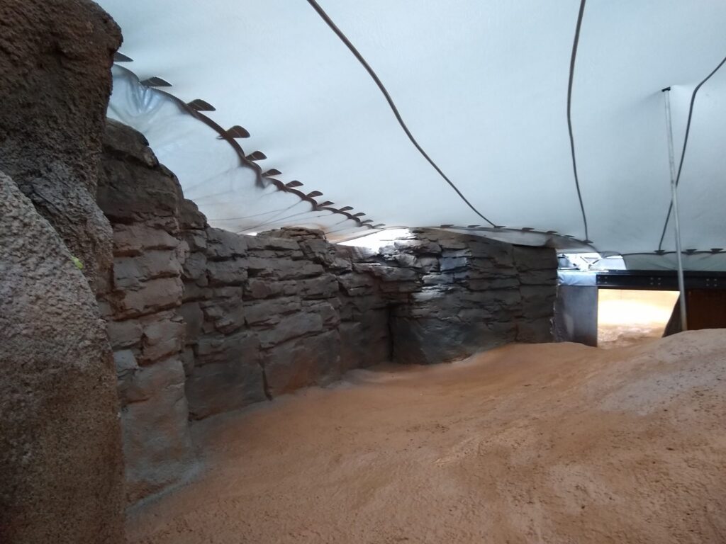 hippo-inside-scaled Inside Tented Hippo Pool Enclosure