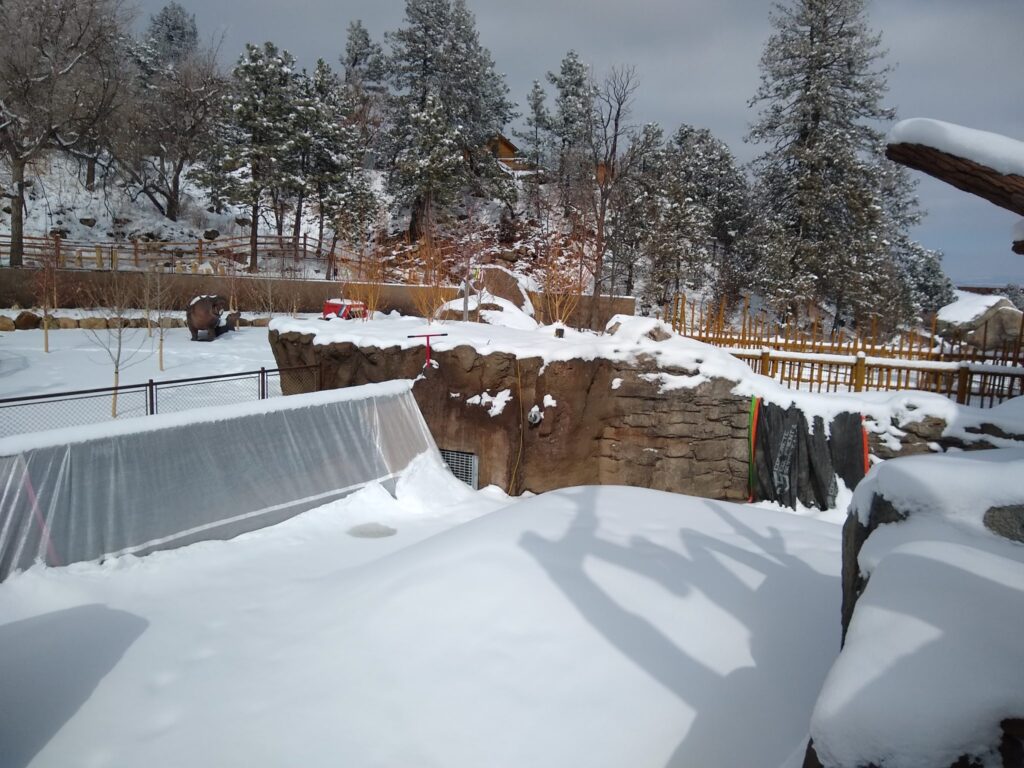 Hippo Pool Cheyenne Mountain Zoo Hippo Display at Cheyenne Mountain Zoo