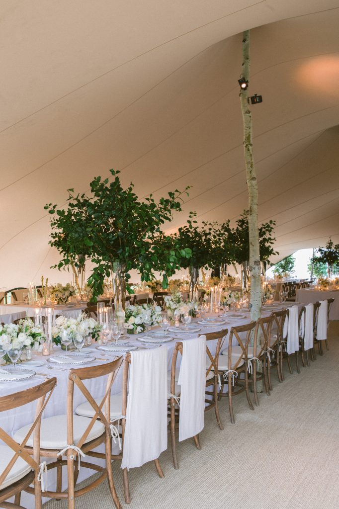 Catherine Meadcatherine@catherinemead.com Aspen Stretch Tent poles with lighting