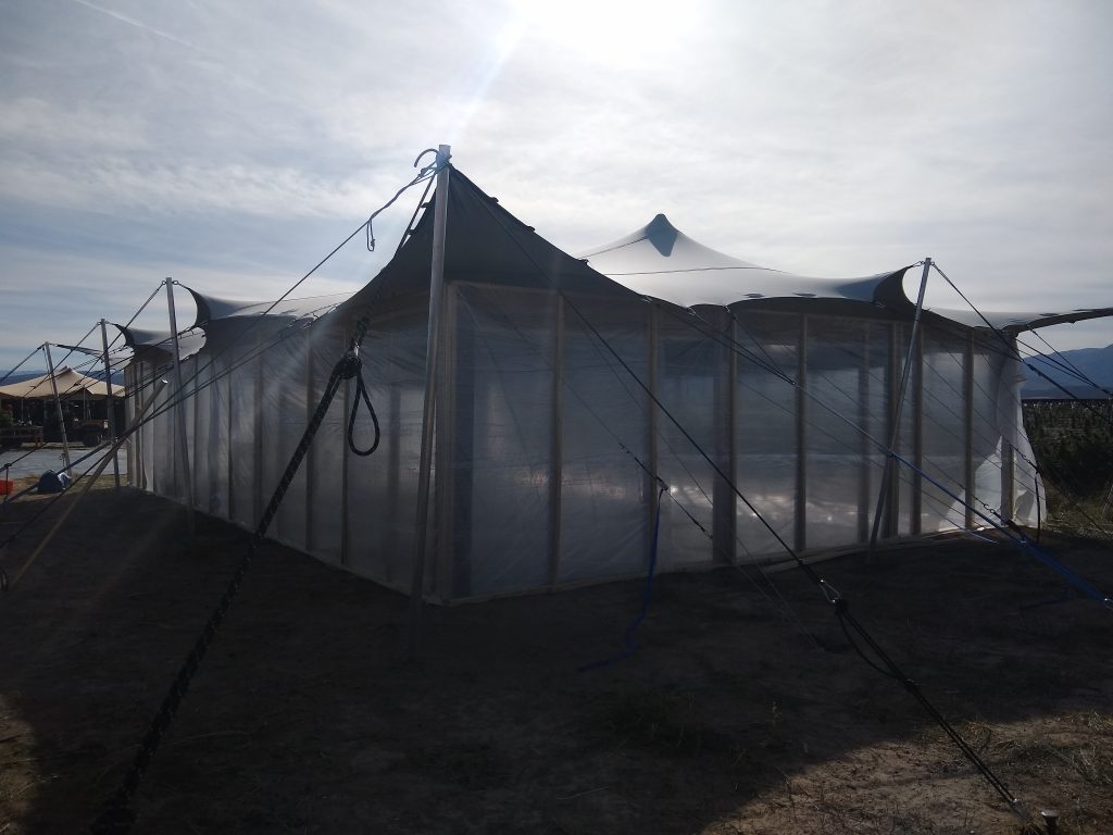 Cannabis-drying-stretch-tent Field Drying Cannabis under stretch tent