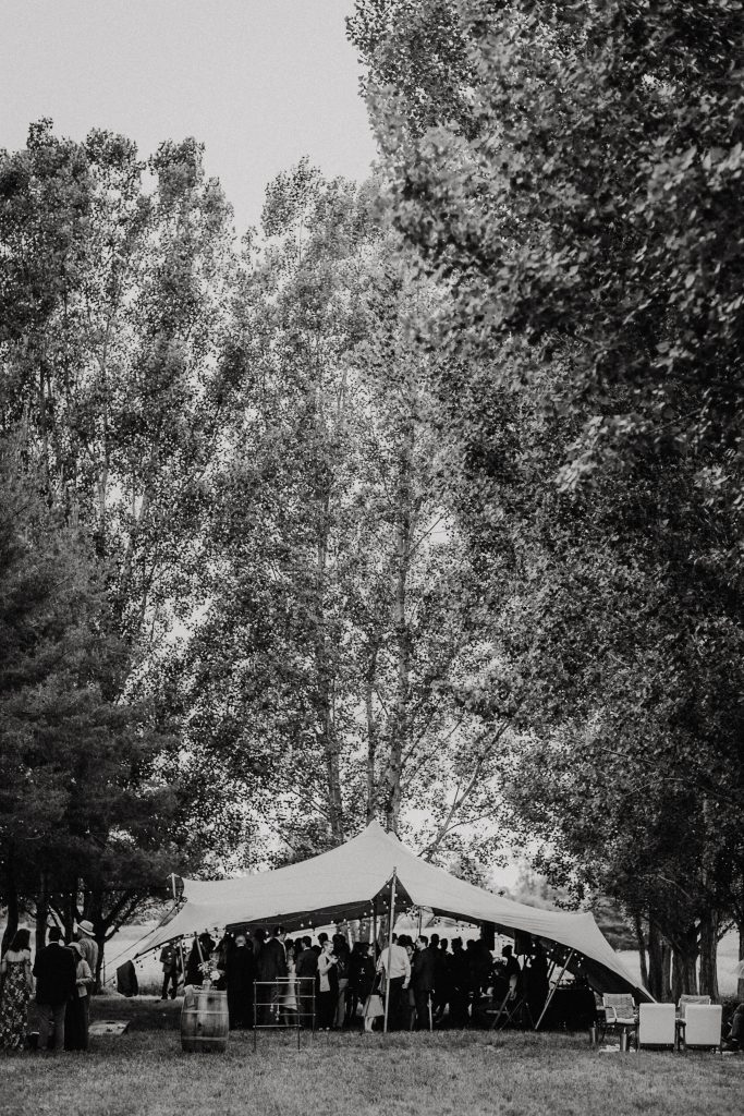 Longmont-wedding-tent-bw Black and white wedding tent