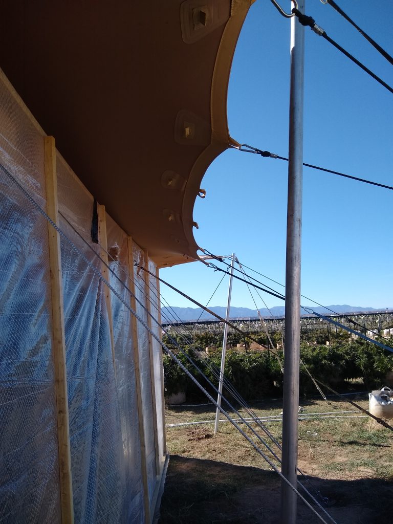 Tent-for-field-drying-cannabis Tent with air circulation for drying Cannabis plants